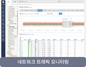 네트워크 트래픽 모니터링