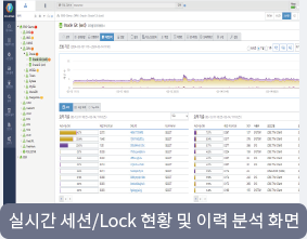 실시간 세션/Lock 현황 및 이력 분석 화면