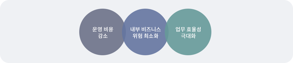 도입효과-운영 비용감소,내부 비즈니스 위험 최소화, 업무 효율성 극대화